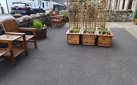 Craiglea Thistle